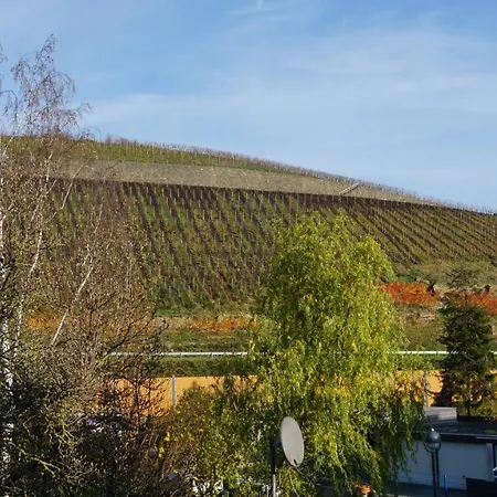 Ferienhaus Magnoliahr Bad Neuenahr-Ahrweiler Exterior photo