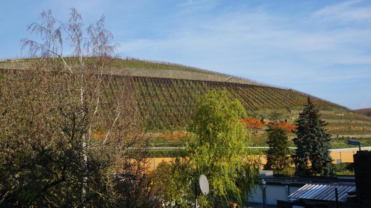 Magnoliahr Ferienhaus *