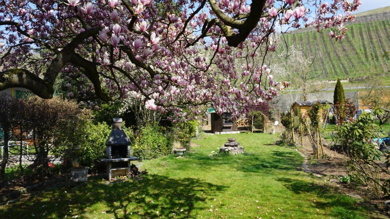 Ferienhaus Magnoliahr *