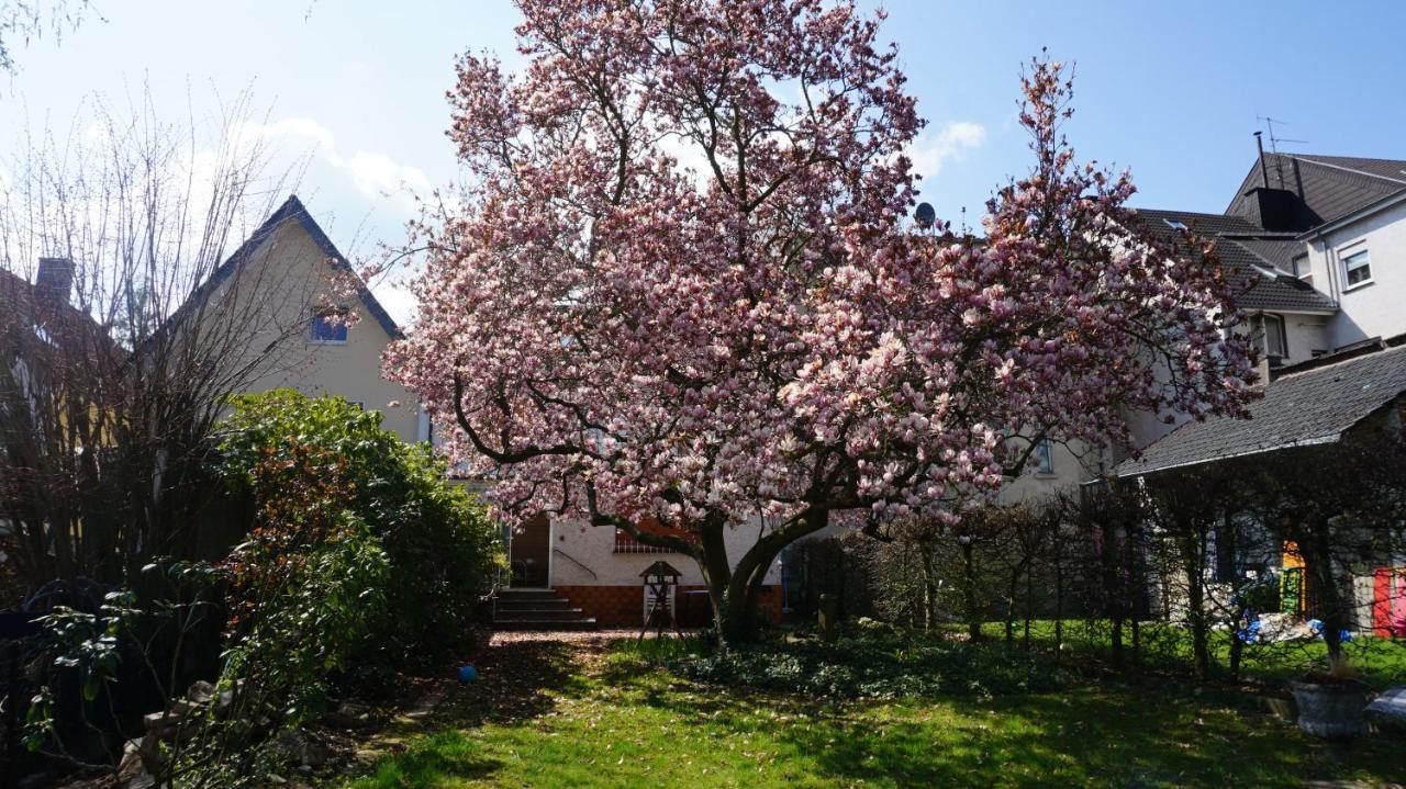 Holiday home Magnoliahr Bad Neuenahr-Ahrweiler